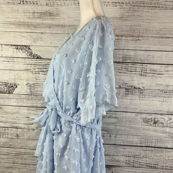 Plushe Dress Plus sz 4XL Light Blue Sheer Swiss Dots Knee A Line Wedding Church - Picture 11 of 15